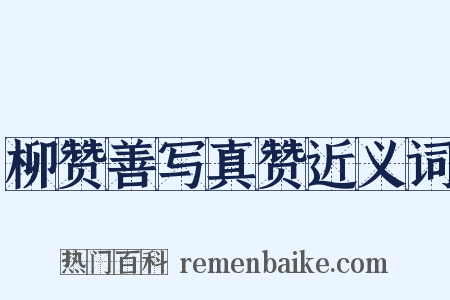 柳赞善写真赞近义词是什么意思的图片